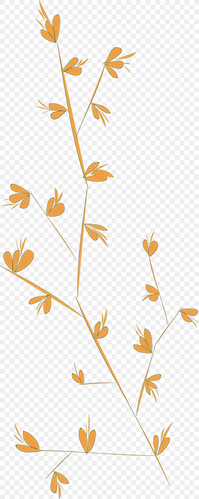 Simple Leaf Simple Leaf Drawing Simple Leaf Outline, PNG, 1558x3910px, Simple Leaf, Cartoon, Drawing, Leaf, Leaf Black White Download Free