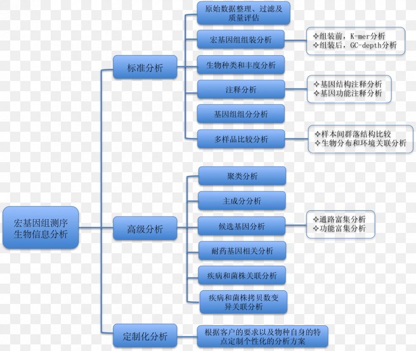 Dermatology 16S Ribosomal RNA Chang Gung Clinic 18S Ribosomal RNA Ribosomal DNA, PNG, 1338x1132px, Dermatology, Bacteria, Brand, Communication, Diagram Download Free