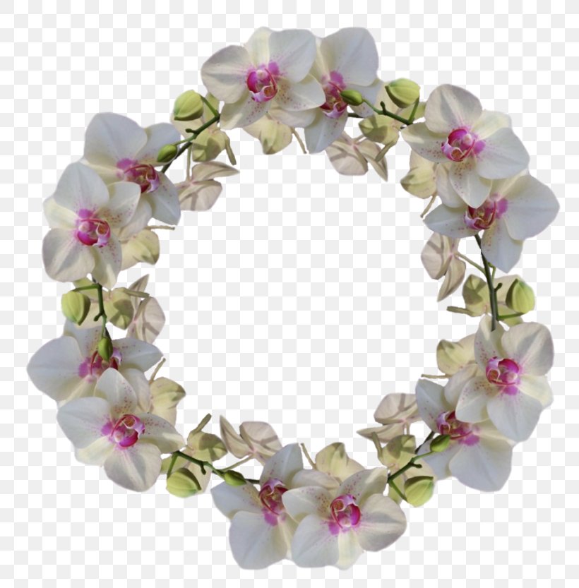 Garden Roses Woman Page 44, PNG, 800x833px, Rose, Blog, Blossom, Body Jewelry, Flower Download Free