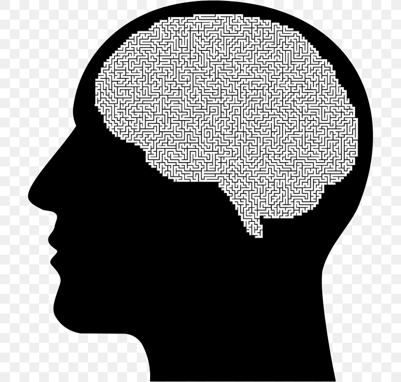 The Female Brain Human Head Human Brain, PNG, 706x780px, Brain, Axon, Black And White, Female Brain, Forehead Download Free