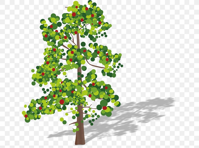Tree Aspen Clip Art, PNG, 640x610px, Tree, Aspen, Branch, Christmas Tree, Drawing Download Free