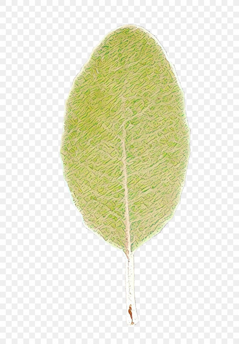 Tree Leaf, PNG, 1112x1600px, Leaf, Feather, Plant, Tree Download Free