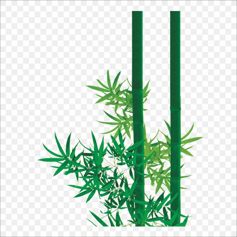 Bamboo Zongzi Leaf Bamboe, PNG, 1773x1773px, Bamboo, Bamboe, Cannabis, Grass, Grasses Download Free