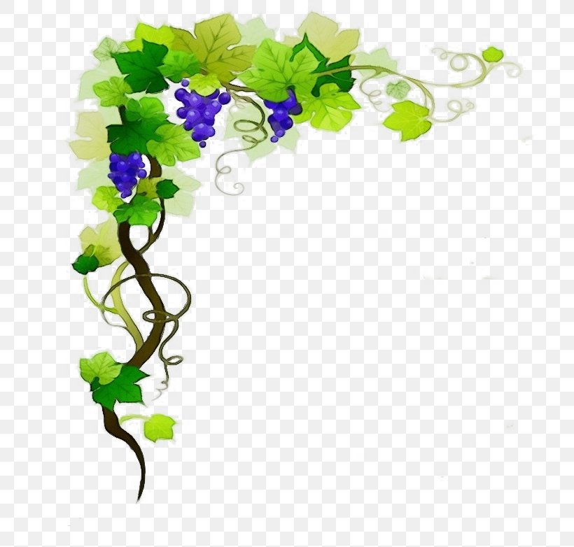 Flowers Background, PNG, 715x782px, Watercolor, Bellflower, Common Grape Vine, Cut Flowers, Drawing Download Free