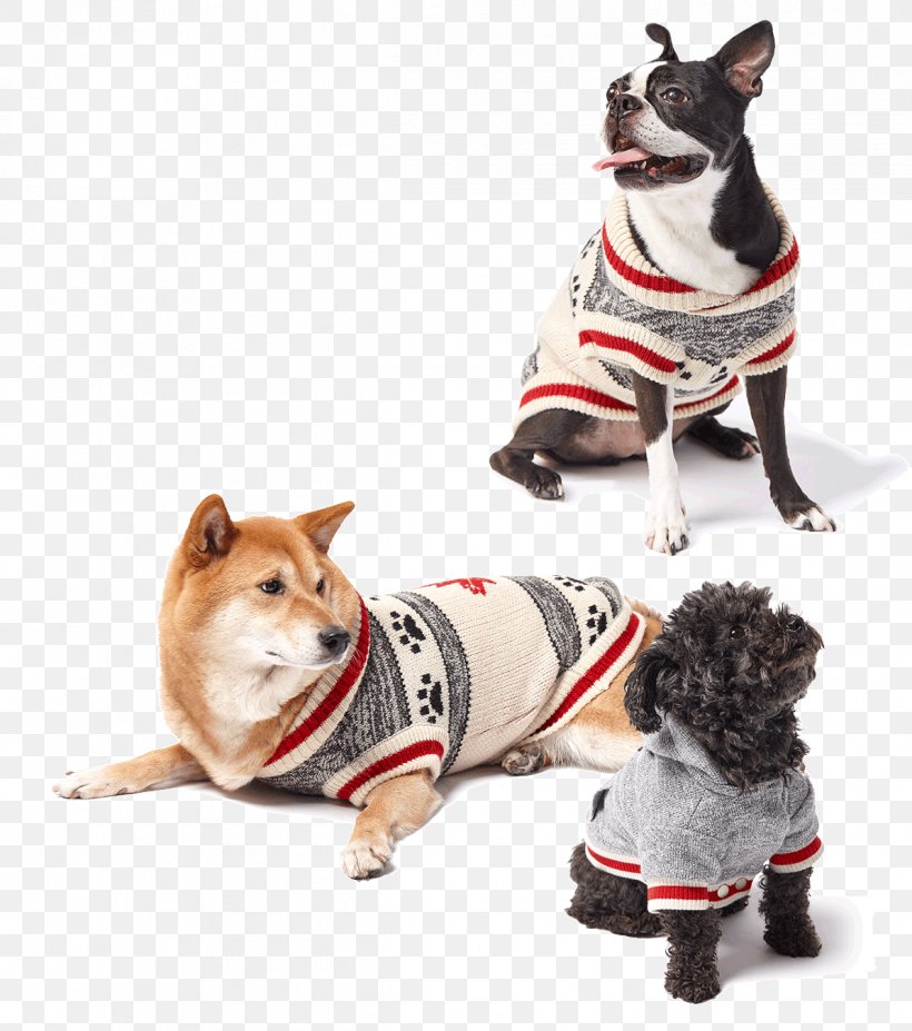 French Bulldog, PNG, 1194x1350px, Dog Clothes, Collar, Companion Dog, Dog, Dog Collar Download Free