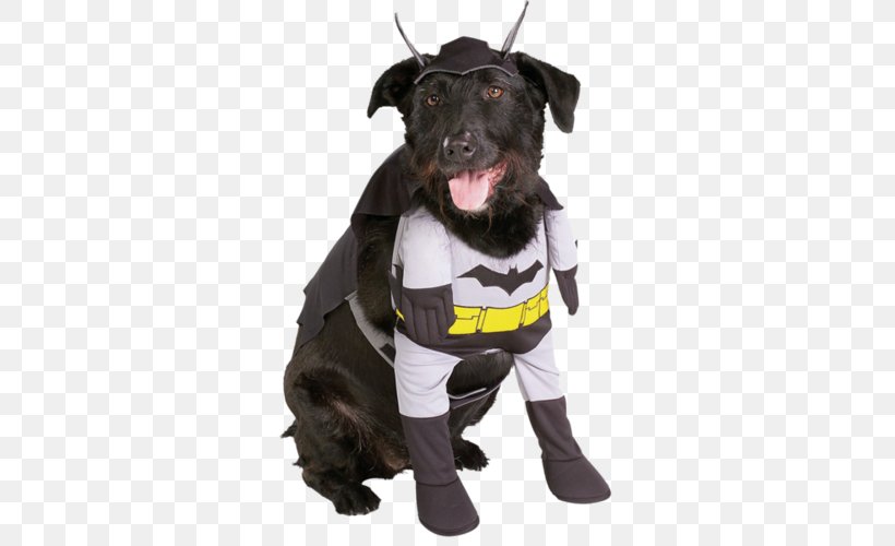 Newfoundland Dog Halloween Costume Dress-up Clothing, PNG, 500x500px, Newfoundland Dog, Ace The Bathound, Clothing, Companion Dog, Costume Download Free