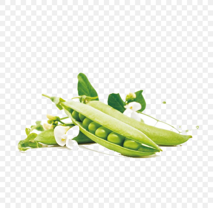 Pea Green Bean Vegetable Food, PNG, 800x800px, 4k Resolution, Snow Pea, Bean, Carrot, Corn On The Cob Download Free