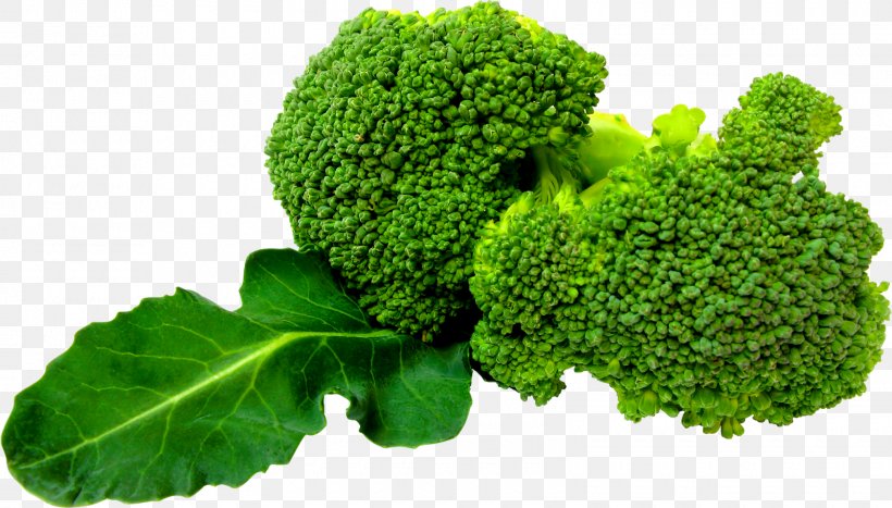 Broccoli Slaw Leaf Vegetable, PNG, 1600x913px, Broccoli Slaw, Broccoli, Collard Greens, Food, Grass Download Free