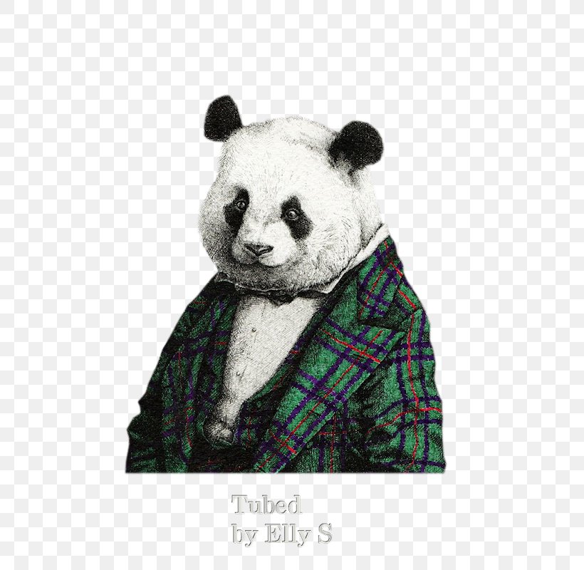 Giant Panda Panda & Sons Bear, PNG, 800x800px, Watercolor, Cartoon, Flower, Frame, Heart Download Free