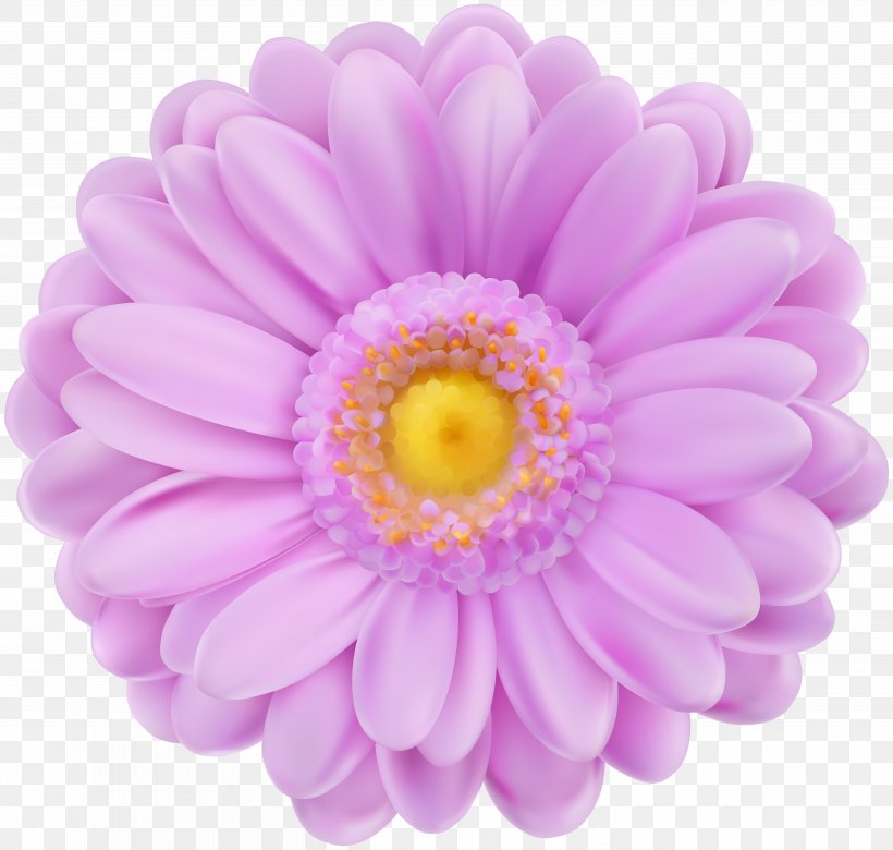 Purple Flower, PNG, 5000x4762px, Flower, Art, Aster, Chrysanths, Common Daisy Download Free