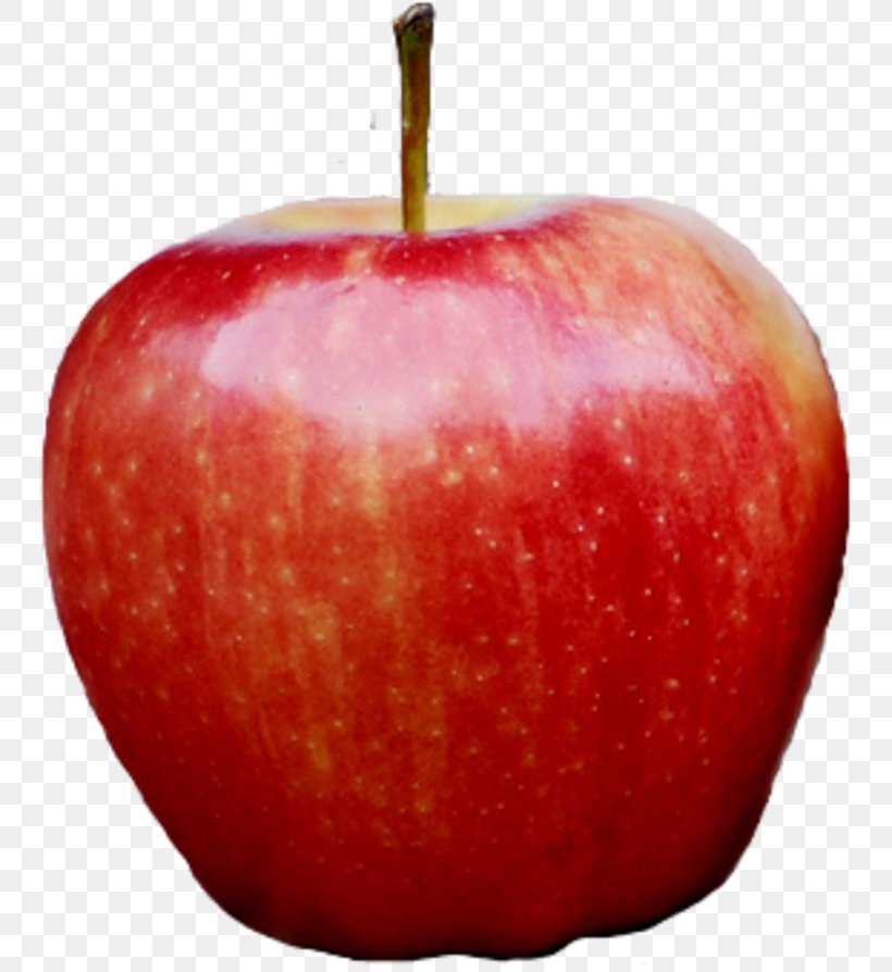 Apple Clip Art, PNG, 760x894px, Apple, Accessory Fruit, Food, Fruit, Image File Formats Download Free
