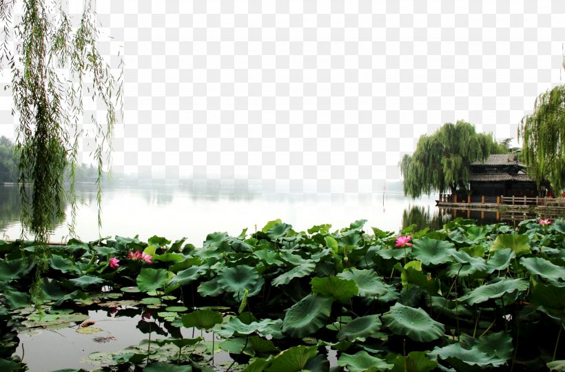 Daming Lake Landscape Fukei, PNG, 2048x1351px, Daming Lake, Botanical Garden, Designer, Fukei, Garden Download Free