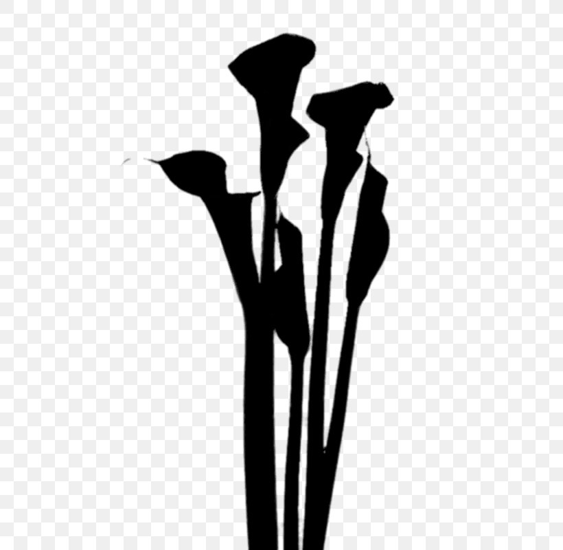 Flowering Plant Product Plant Stem Silhouette, PNG, 600x800px, Flower, Blackandwhite, Flowering Plant, Plant, Plant Stem Download Free