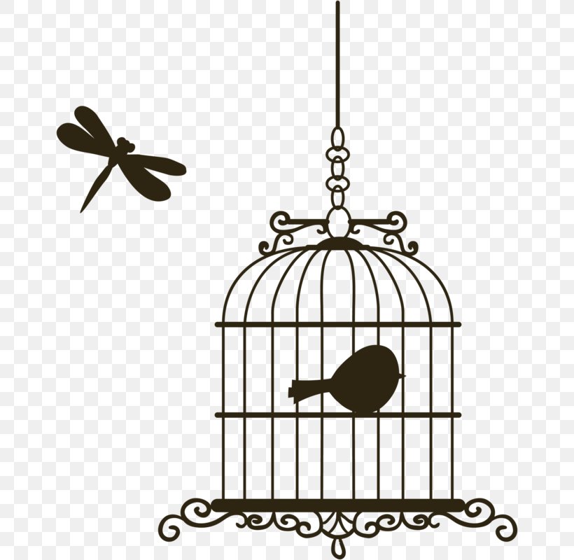 3, PNG, 660x800px, Book, Birdcage, Booksfree, Branch, Cage Download Free
