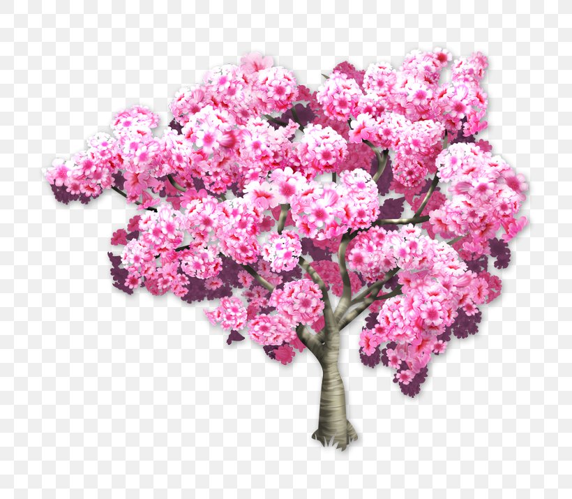 Pink Trumpet Tree Tabebuia Branch Wisteria, PNG, 715x715px, Tree, Blossom, Branch, Cherry Blossom, Cut Flowers Download Free