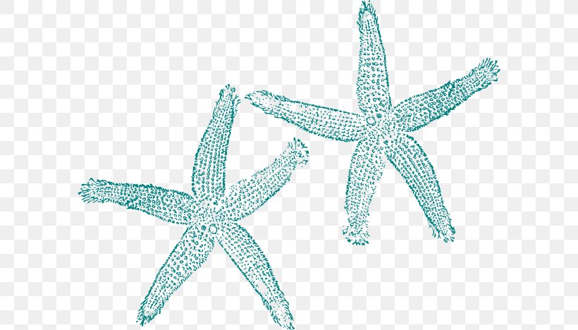 Starfish Turquoise Clip Art, PNG, 600x468px, Starfish, Body Jewelry, Drawing, Echinoderm, Invertebrate Download Free