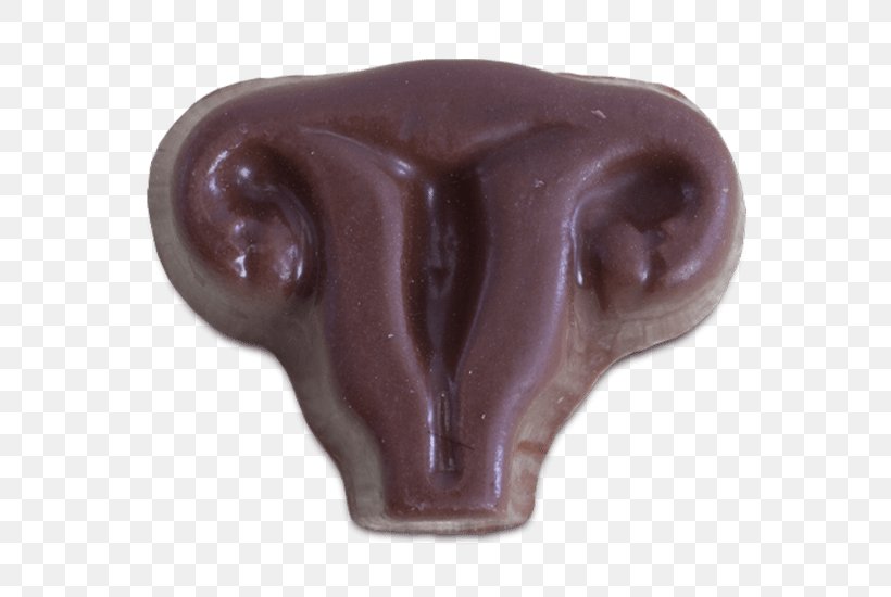 Chocolate Chip Cookie Uterus Candy Shape, PNG, 600x550px, Chocolate, Anatomy, Biscuits, Bombonierka, Candy Download Free