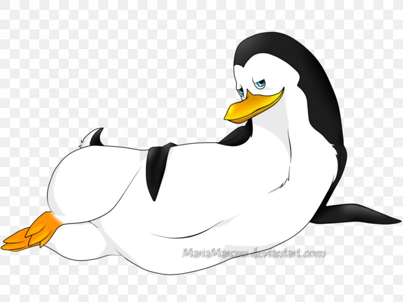 Duck Penguin Beak Cartoon Clip Art, PNG, 1032x774px, Duck, Artwork, Beak, Bird, Cartoon Download Free