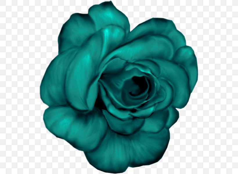 Garden Roses Flower Blue Clip Art, PNG, 550x600px, Garden Roses, Aqua, Blue, Blue Rose, Bluegreen Download Free