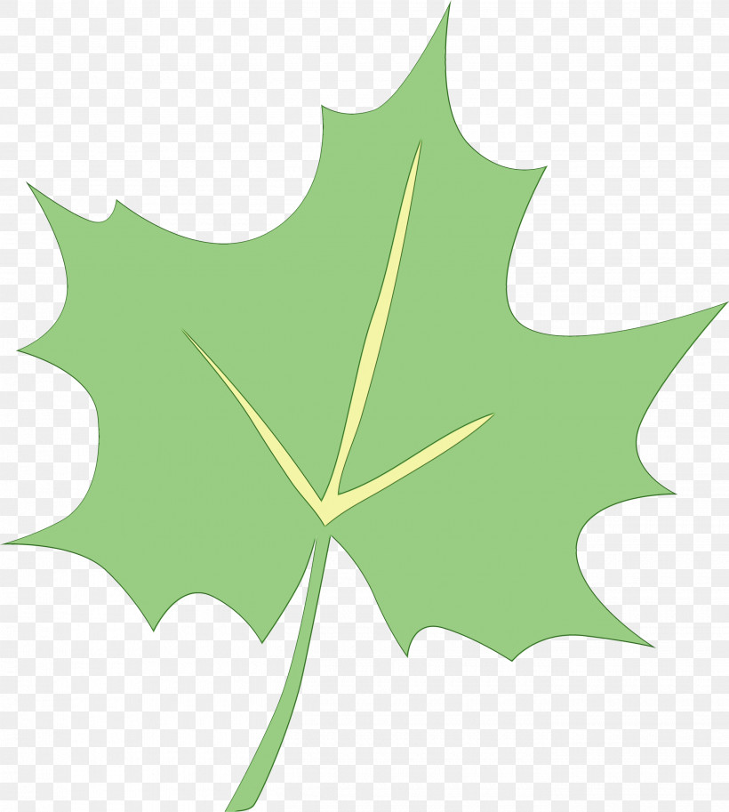 Maple Leaf, PNG, 2700x3008px, Watercolor, Biology, Green, Leaf, Line Download Free