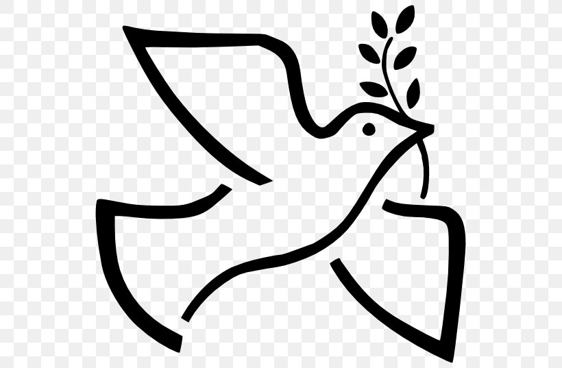 Peace Symbols Doves As Symbols Olive Branch, PNG, 555x537px, Peace Symbols, Art, Artwork, Beak, Black Download Free