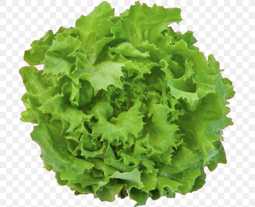 Salad Iceberg Lettuce Leaf Vegetable, PNG, 700x665px, Salad, Can Stock Photo, Cucumber, Endive, Food Download Free