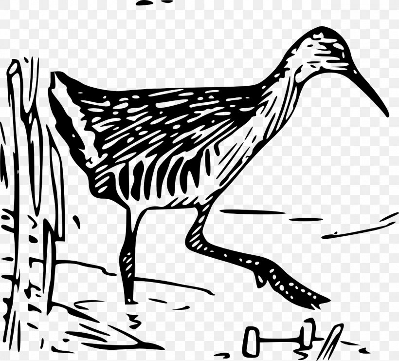 Beak King Rail Bird Clip Art, PNG, 1280x1158px, Beak, Anatidae, Artwork, Bird, Black And White Download Free