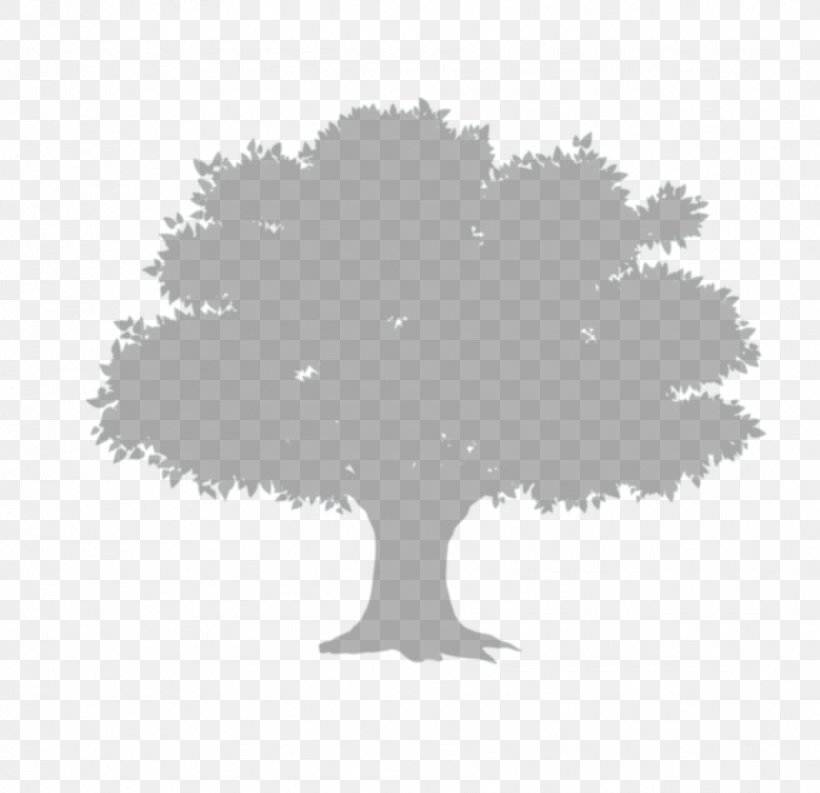 Tree Shadow, PNG, 1812x1754px, Tree, Album, Animation, Black And White, Christmas Tree Download Free