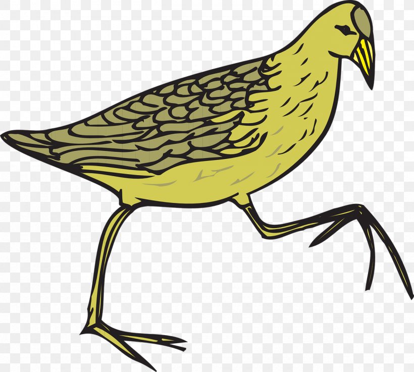 Common Quail Common Moorhen Bird Brown Quail, PNG, 1280x1151px, Quail, Animation, Artwork, Beak, Bird Download Free