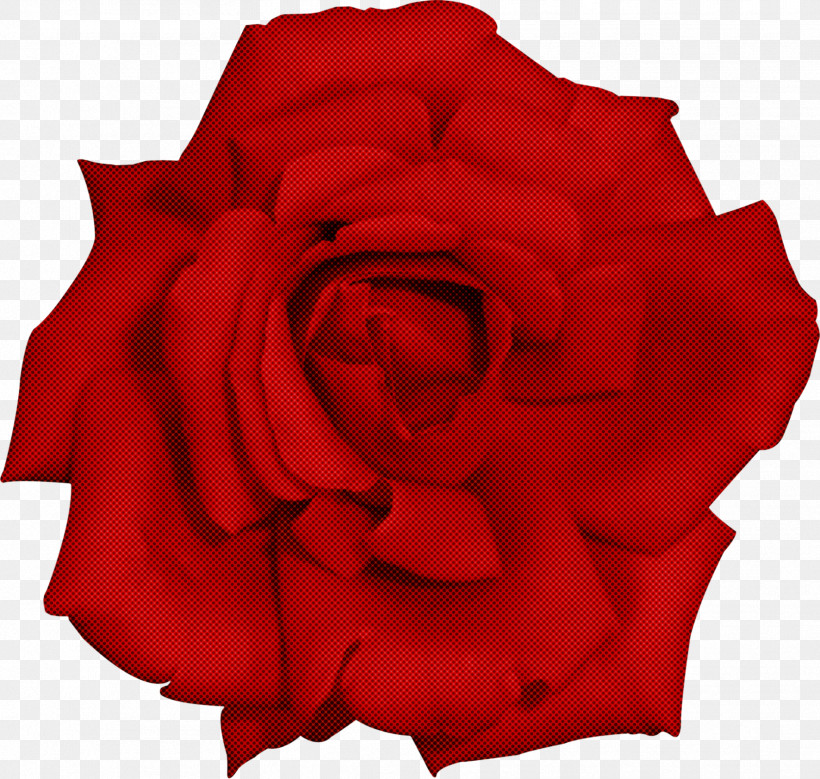 Garden Roses, PNG, 1772x1684px, Red, Carmine, China Rose, Cut Flowers, Floribunda Download Free