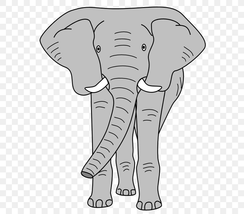 Indian Elephant African Elephant Clip Art, PNG, 576x720px, Watercolor, Cartoon, Flower, Frame, Heart Download Free