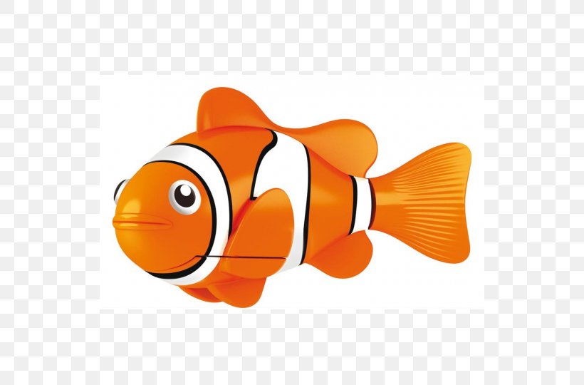 Orange Clownfish Child Robot Fish, PNG, 540x540px, Clownfish, Child, Electric Fish, Fish, Mutualism Download Free