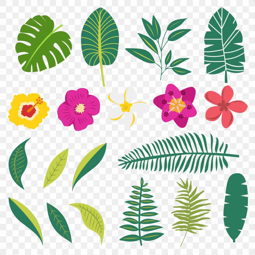 Plants Image Leaf Design, PNG, 2500x2500px, Plants, Designer, Flora, Floral Design, Flower Download Free
