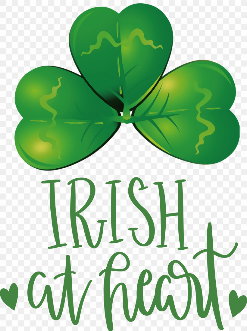 Shamrock Irish Saint Patrick, PNG, 2246x3000px, Shamrock, Biology, Green, Irish, Leaf Download Free