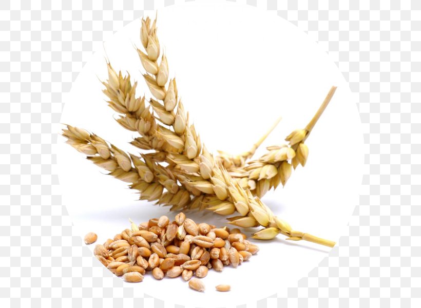 Atta Flour Wheat Berry Cereal Grain, PNG, 600x600px, Atta Flour, Agriculture, Avena, Barley, Bran Download Free