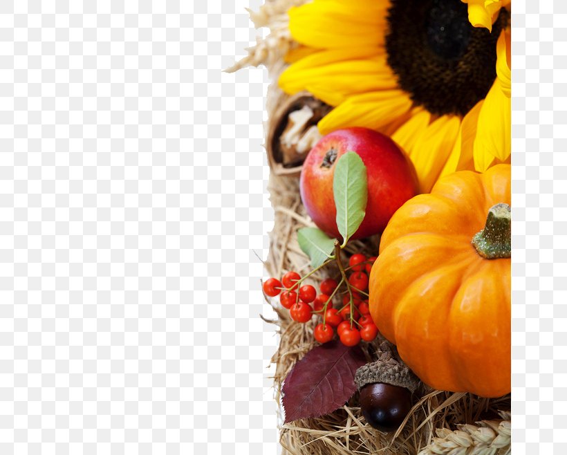 Autumn Still Life Pumpkin Clip Art, PNG, 658x658px, Autumn Still Life, Apple, Autumn, Calabaza, Crop Yield Download Free