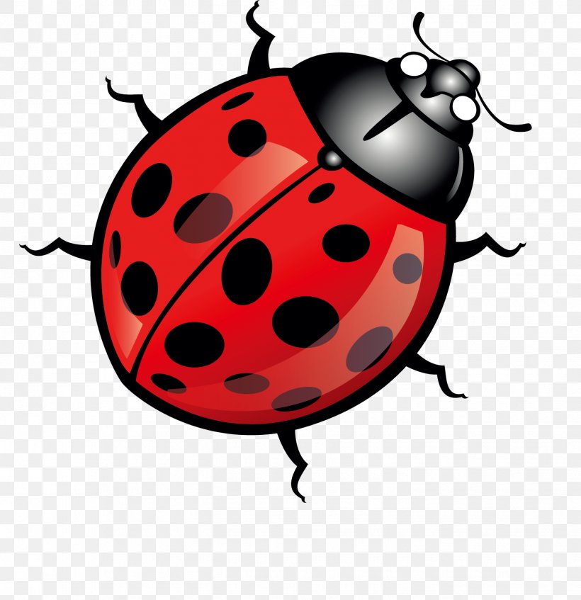 Beetle Ladybird Euclidean Vector Clip Art, PNG, 1445x1494px, Beetle, Cartoon, Insect, Invertebrate, Ladybird Download Free