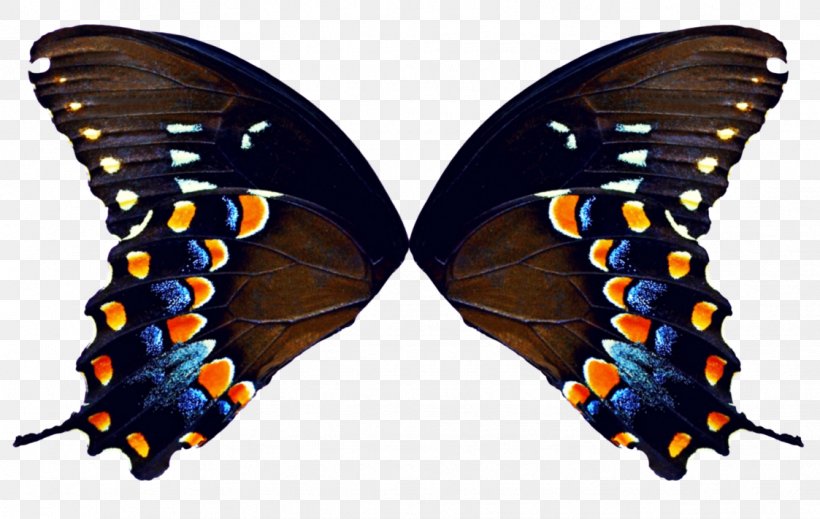 Butterfly DeviantArt Clip Art, PNG, 1123x711px, Butterfly, Art, Arthropod, Brush Footed Butterfly, Butterfly Effect Download Free