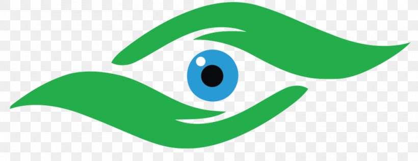 Clip Art Eye Examination Eye Care Professional Ophthalmology, PNG, 1000x387px, Eye, Artwork, Beak, Bird, Contact Lenses Download Free