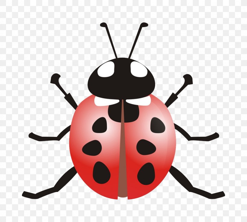 Ladybird Beetle Coccinella Septempunctata Clip Art, PNG, 1024x924px, Ladybird, Animal, Arthropod, Beetle, Coccinella Septempunctata Download Free