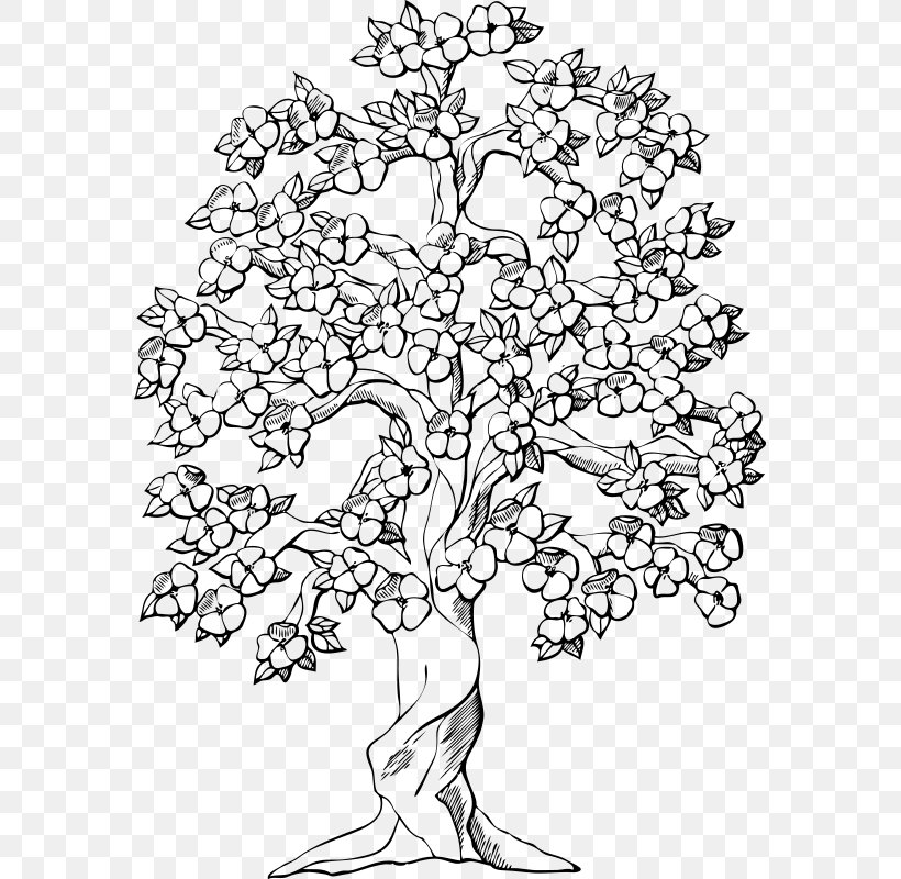 Coloring Book Tree Paper Page, PNG, 575x800px, Coloring Book, Adult, Area, Art, Black And White Download Free