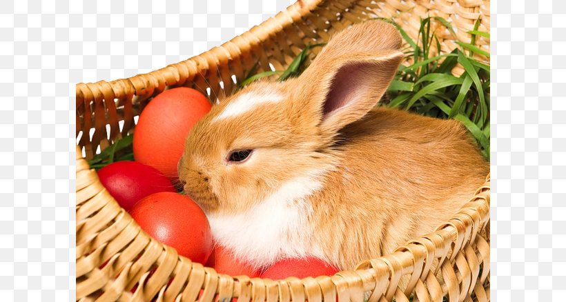 Easter Bunny Holiday Easter Egg Holy Week, PNG, 600x438px, Easter Bunny, Animation, Christmas, Domestic Rabbit, Easter Download Free