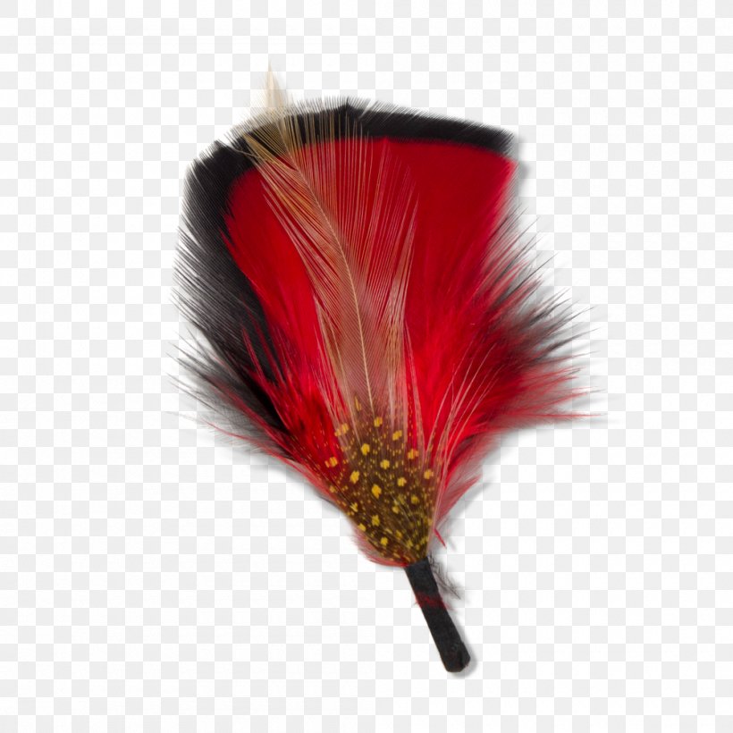 Feather Goorin Bros. Red Hat Black, PNG, 1000x1000px, Feather, Black, Clothing Accessories, Com, Dress Download Free