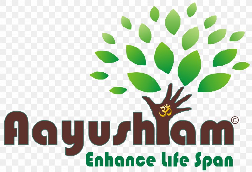 Logo Ayurveda Panchakarma Brand, PNG, 2452x1680px, Logo, Ayurveda, Branch, Brand, Description Download Free