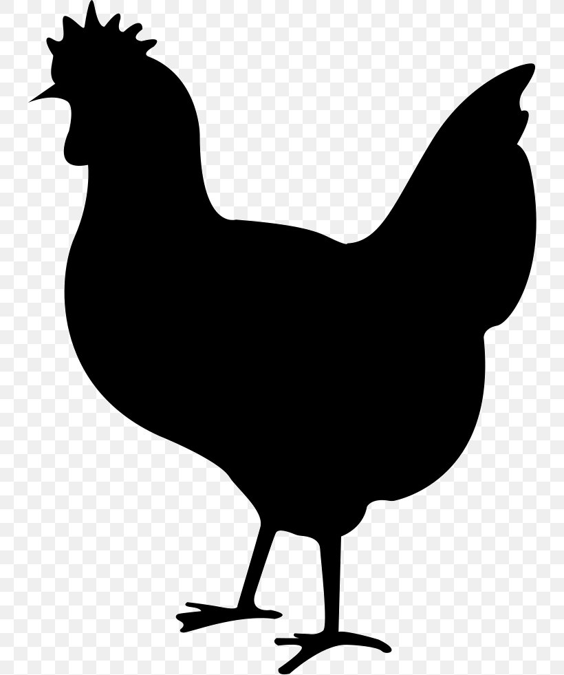 Silkie Chicken Meat Rooster, PNG, 740x981px, Silkie, Autocad Dxf, Beak, Bird, Black And White Download Free