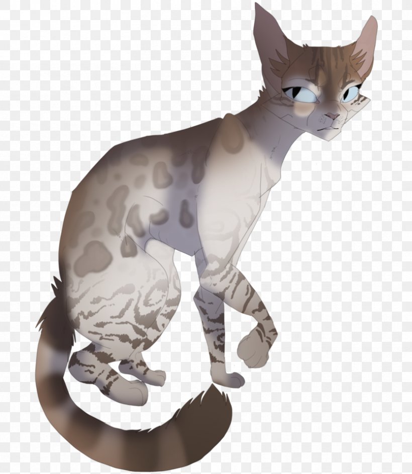 Sphynx Cat Donskoy Devon Rex Peterbald American Wirehair, PNG, 833x958px, Sphynx Cat, American Wirehair, Asia, Asian, Carnivoran Download Free