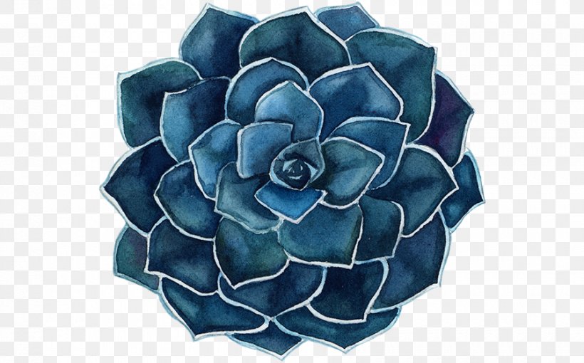 Succulent Plant Throw Pillows Cactaceae Cushion, PNG, 900x560px, Succulent Plant, Agave, Blue, Blue Rose, Cactaceae Download Free