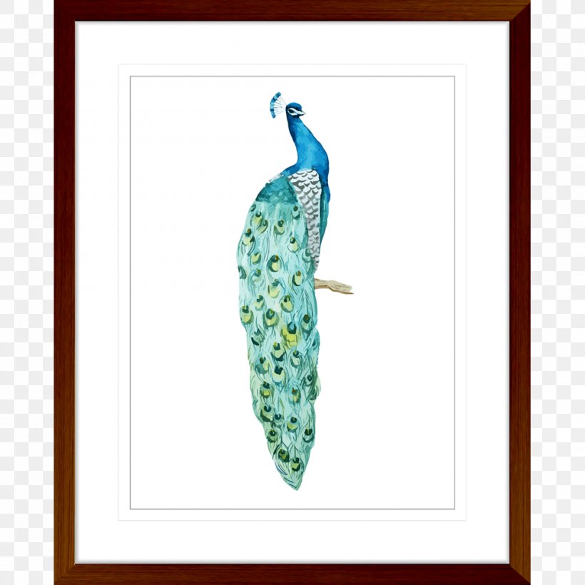 Bird Asiatic Peafowl Photography Feather, PNG, 1000x1000px, Bird, Aqua, Art, Asiatic Peafowl, Drawing Download Free