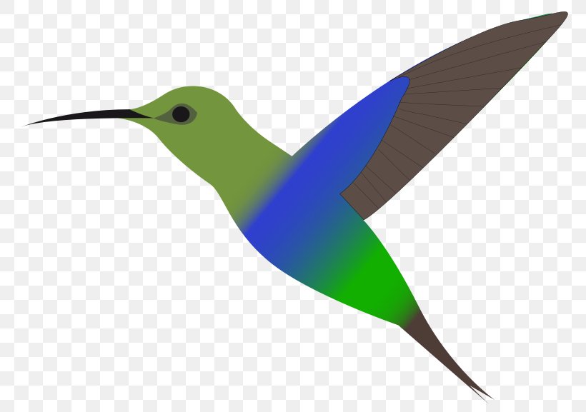 Hummingbird Free Content Clip Art, PNG, 800x577px, Hummingbird, Beak, Bird, Blog, Drawing Download Free