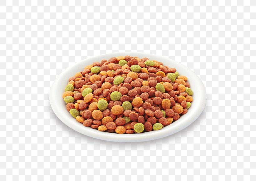 Lentil Vegetarian Cuisine Natural Foods Peanut, PNG, 580x580px, Lentil, Bean, Commodity, Dish, Food Download Free